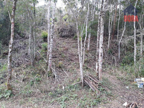 Chácara Residencial À Venda, Mato Dentro, Mairiporã. - Ch0159