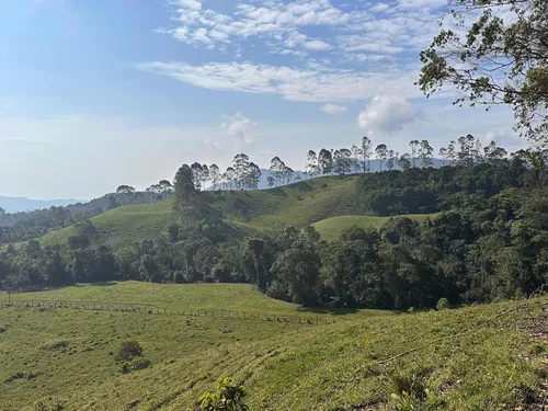 Vendo Permuto Finca Líbano Tolima