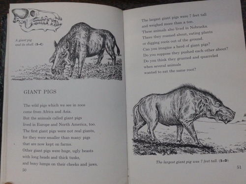 Imagen 6 de 9 de Prehistoric Zoo * Carroll Lane Fenton *