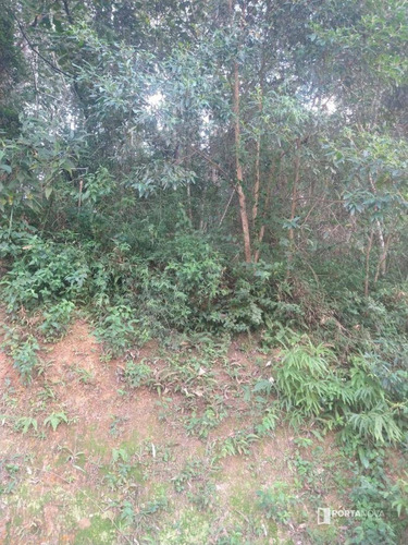 Terreno À Venda, 960 M² Por R$ 265.000,00 - Jardim Dos Ypês - Embu Das Artes/sp - Te0275
