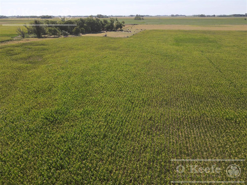 Campo En Venta Mixto De 246 Has En Saladillo