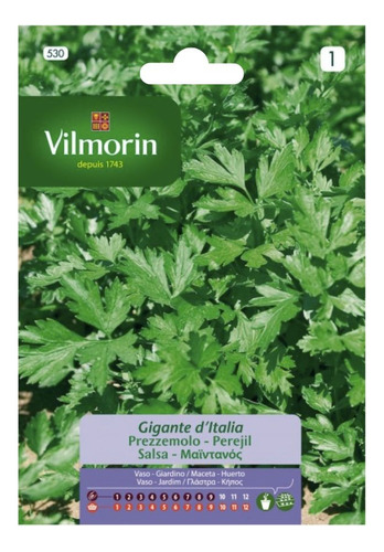 Semillas De Perejil Gigante De Italia - Vilmorin