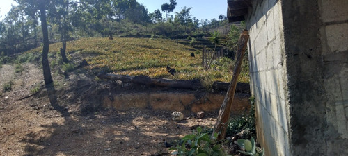 Imagen 1 de 18 de 6 Manzanas En El Zapote San Pedro Pinula Jalapa