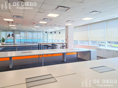 Oficinas En Alquiler 1060 M2 En Edificio Lumina Thames San Isidro, Certificacion Leed Green Building