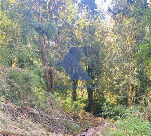 Imagen 4 de 11 de Increíble Terreno Para Conservación En Venta En Cochamo