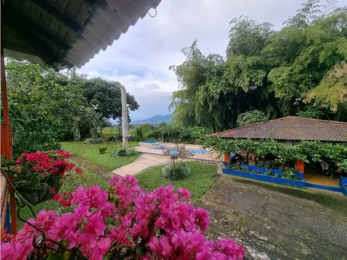 Finca De 3 Cuadras En Venta A 15 Minutos De Calarcá
