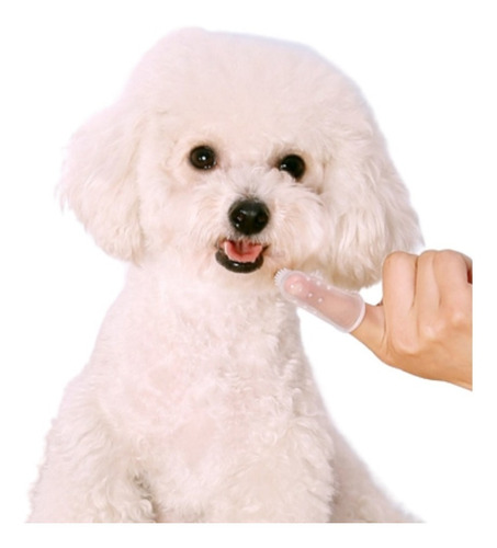 Pillo D Dints Silicón Ddal Para Prro O Mascota Sabor Sin Sabor