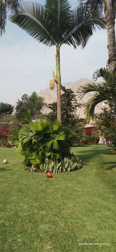 Palmeras De Condorhuaca Eventos Full Day 3000mts2.