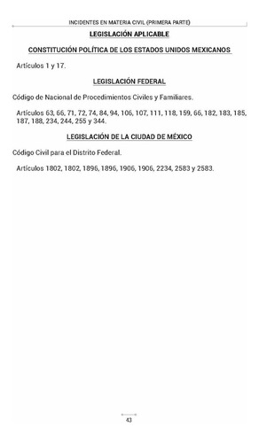 Incidentes En Materia Civil (primera Parte) (falta De Personalidad Y Nulidad De Actuaciones, Defecto En El Emplazamiento)