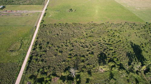 Imagen 17 de 20 de Campo - Colón