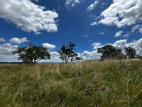 Campo En Venta - Rocha