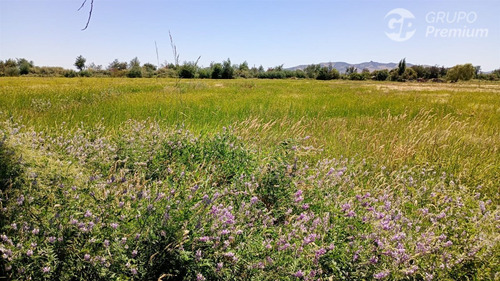 Terreno Agrícola En Arriendo En Longaví