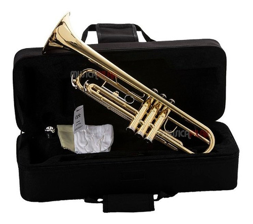 Trompeta Knight Jbtr-300 Laqueado C/estuche Musica Pilar