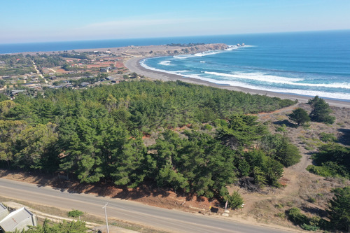 Desarrollo Inmobiliario Frente Al Mar En Punta De Lobos