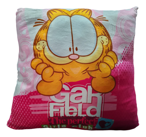 Almohadas De Garfield