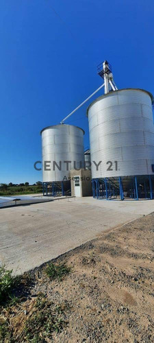 Imagen 17 de 22 de Granja Modelo Productora Huevos Venta Automatizada Baradero, Campo 4hts