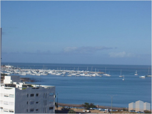 Imagen 6 de 14 de A Metros De La Playa