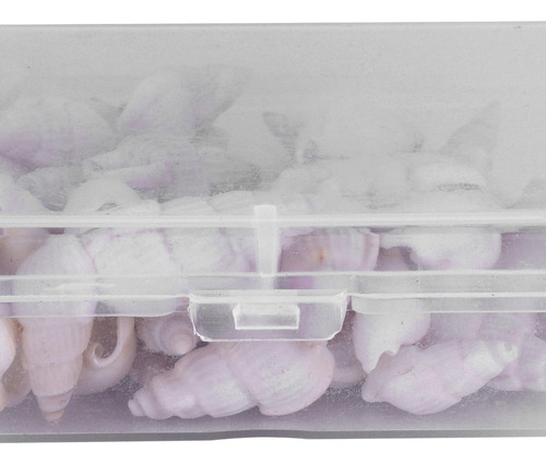 Joias De Caracol Marinho Com Conchas Naturais