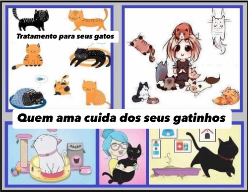 Livro Como Cuidar Dos Seu Gato Na Saúde E Na Doença