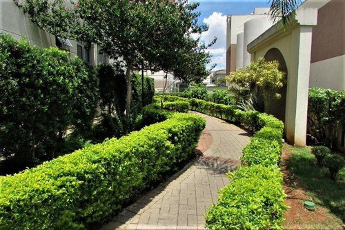 Imagem 19 de 19 de Apartamento Com 2 Dormitórios, 50 M² - Venda Por R$ 400.000,00 Ou Aluguel Por R$ 1.700,00/mês - Vila Prudente (zona Leste) - São Paulo/sp - Ap5883