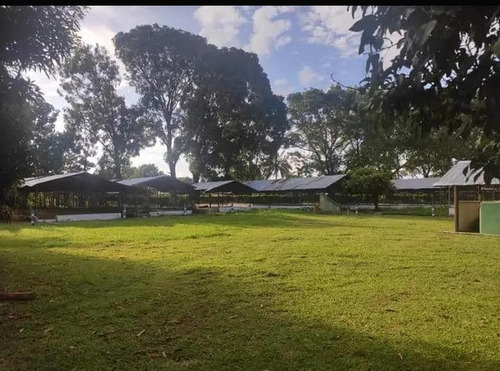 Imagen 12 de 14 de Granja Avicola-porcina A 10 Min. Del Centro De Barinas