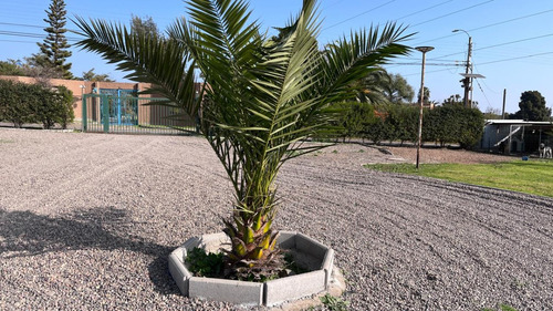 Dueño Vende En Exclusivo Sector De La Serena