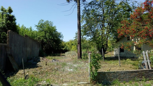 Imagen 9 de 11 de Venta Lote 10x55 139 E/523 Y 524. Vivani Propiedades