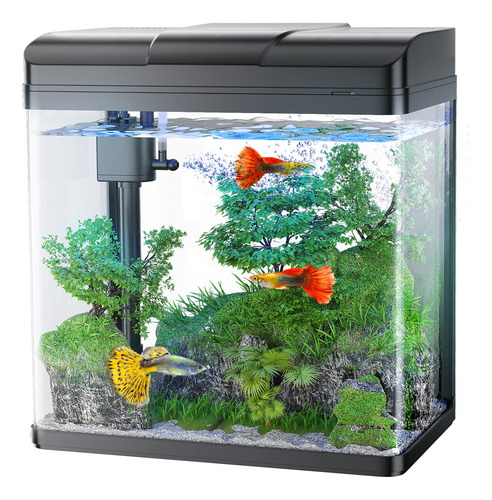 Pondon Fish Tank, Acuario De Vidrio De 1.7 Galones Con Bomba