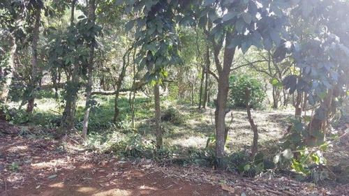 Imagem 4 de 20 de Terreno À Venda, 2845 M² Por R$ 1.600.000,00 - Jardim Mediterrâneo - Cotia/sp - Te7989