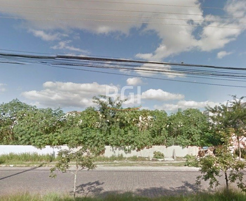 Terreno Em Humaitá - Ev2859