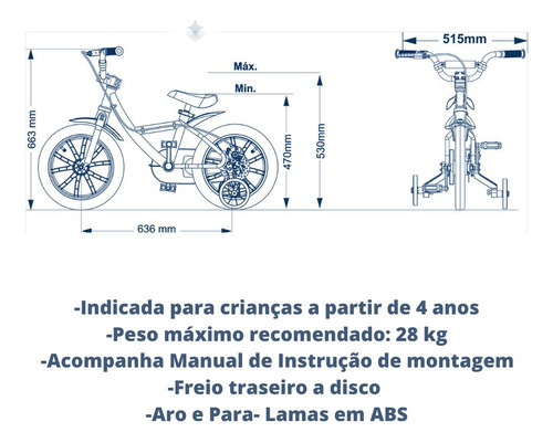 Bicicleta Infantil Aro 14 First Com Rodinhas De Treinamento