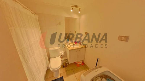 Imagen 10 de 16 de Serena Pacífico Arriendo Marzo A Diciembre La Serena