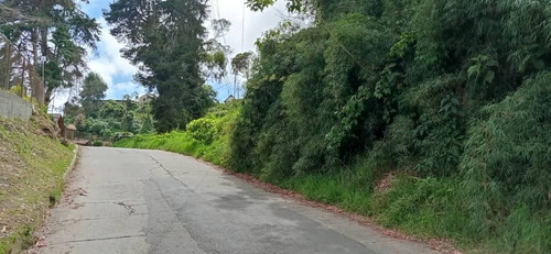Imagen 2 de 10 de En Venta A Orilla De Calle, En La Colonia Tovar