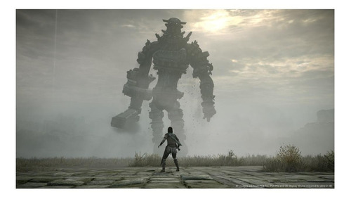 Shadow Of The Colossus Remake Standard Edition Ps4 Físico (Usado)