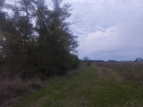 Excelente Chacra De 4,5hectareas En Los Cerrillos!!