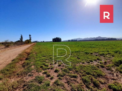 Imagen 7 de 10 de Terreno 5000 M2/ Calle Los Perros/ Talagante