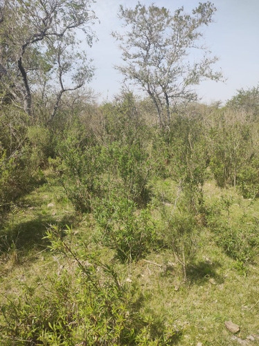 Imagen 15 de 15 de En Venta Chacra Mojones Norte 10.5 Ha