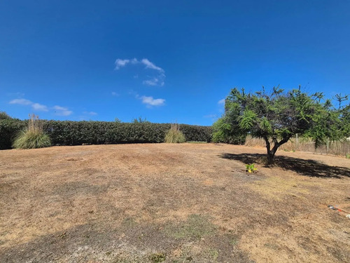 Venta Parcela 5000 Mts San Antonio