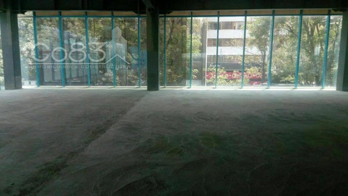 Imagen 5 de 11 de Renta - Oficina - Masaryk - 1419 M2 - Piso 2