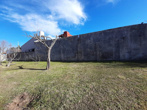 Imagen 6 de 10 de Terreno En Berisso - Dacal Bienes Raices