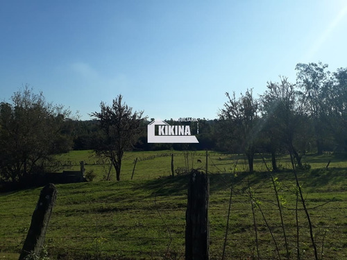 Chácara Para Venda - 11039