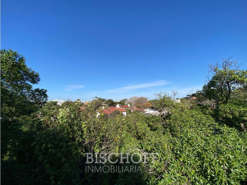 Venta De Lote En Ostende Calle Moreno