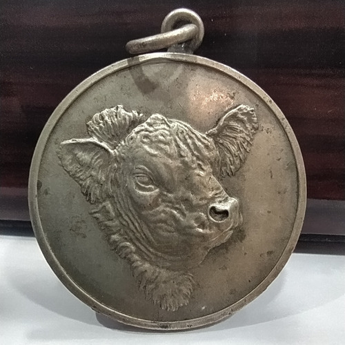 Antigua Medalla Corporación Argentina De Aberdeen - Angus