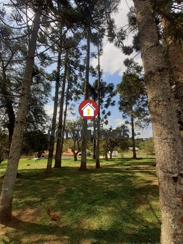 Imagem 14 de 15 de Chácara Para Venda Em Araucária, Guajuvira, 3 Dormitórios, 2 Suítes, 4 Banheiros - Ch0547_2-1110072