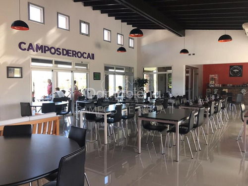 Imagen 6 de 17 de Terreno Lote En Venta Ubicado En Campos De Roca, Brandsen, G.b.a. Zona Sur