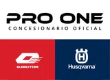 PRO ONE