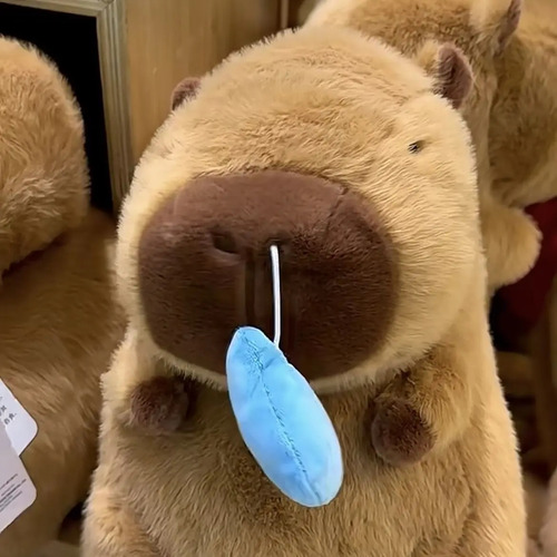 Muñeco Capibara De Felpa De 25 Cm, Regalo De Cumpleaños Para