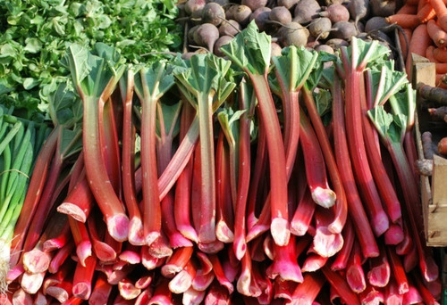 Ruibarbo, 30 Gr Erva Seca