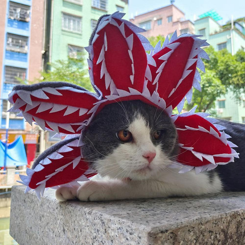Gorro Para Mascotas De Halloween, Cómodo, Vívido, Con Forma