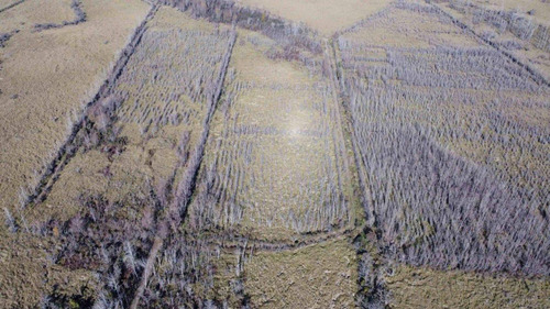 Imagen 14 de 14 de Venta 4 Hectareas Seccion 1 De Islas Del Parana